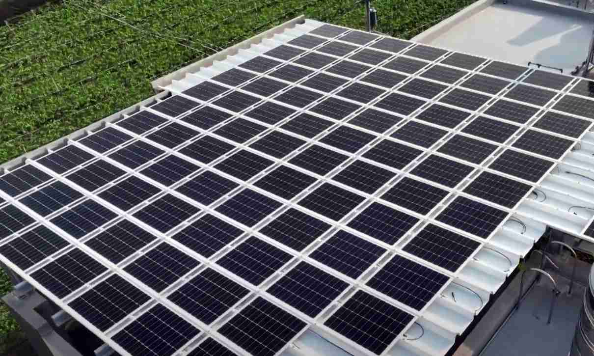 巨星国际SunSteel光电浪板升级双玻结构，，，以提升机械负载强度及气候耐候度，，，可广泛运用于多元场域